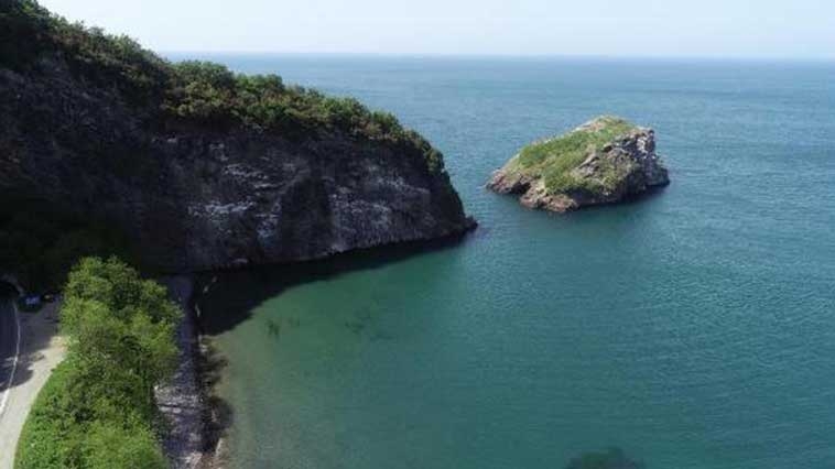 karadeniz-deki-hoynat-adasi-kuslarin-yasam-alani