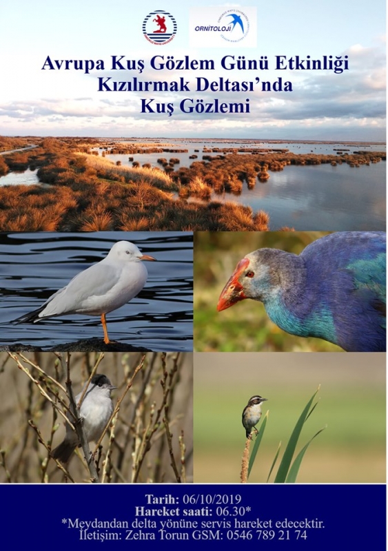 kizilirmak-deltasi-nda-kus-gozlemi-