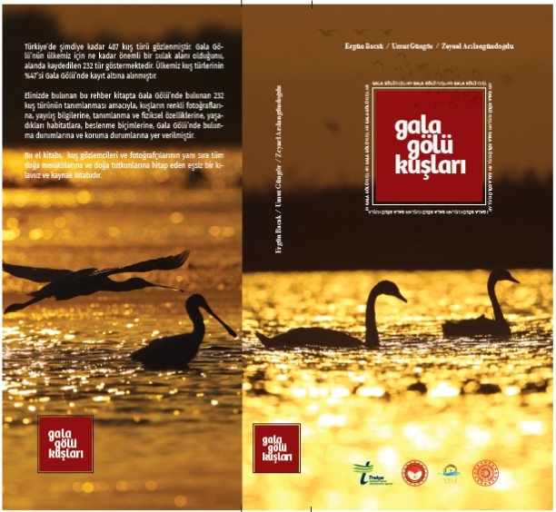 gala-golu-kuslari