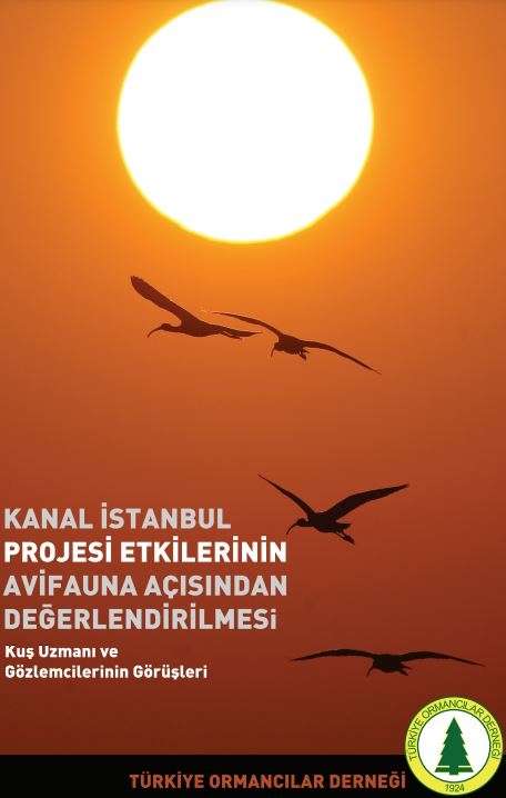 kanal-istanbul-projesi-etkilerinin-avifauna-acisindan-degerlendirilmesi-kus-uzmani-ve-gozlemcilerinin-gorusleri