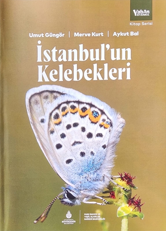 -istanbulun-kelebekleri-kitabi-cikti