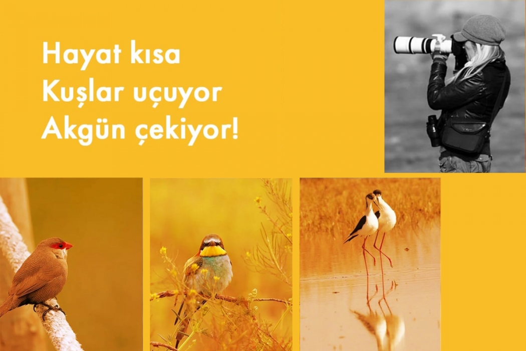 403-kertik-ile-akgun-ozen