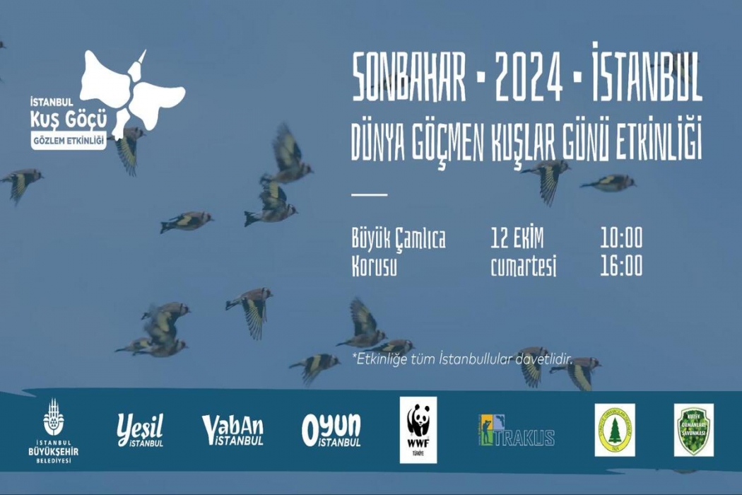 2024-sonbahar-kus-gocu-gozlem-etkinligi