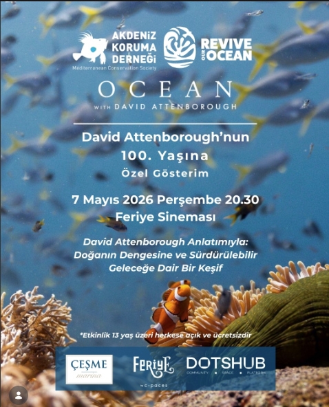 ocean-with-david-attenborough-belgeseli