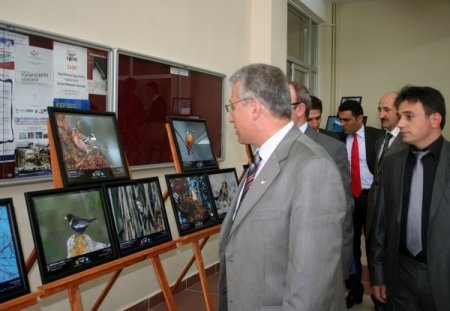 erzurum-ovasinin-kuslari-gumushane-universitesinde-sergileniyor