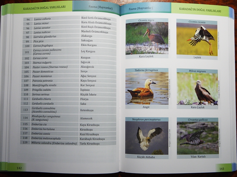 karadagin-dogal-ve-kulturel-varliklari-
