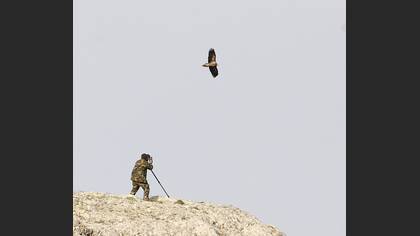 Tanımsız