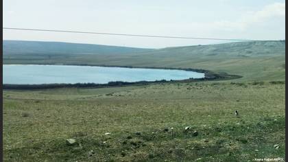 Saksağan