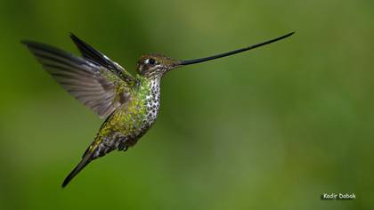 Tanımsız