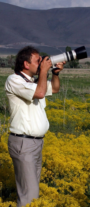 Tanımsız