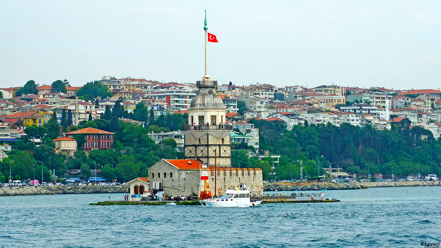Yelkovan