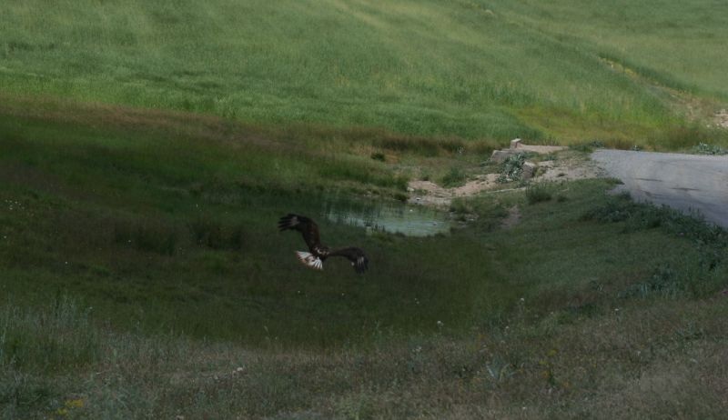 Tanımsız