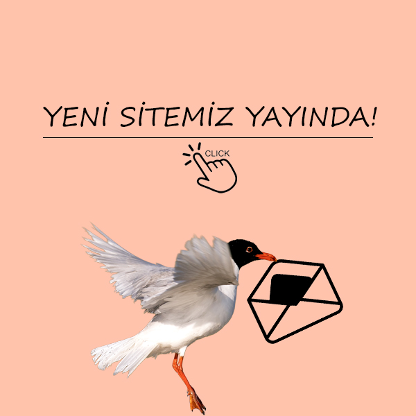 Popup