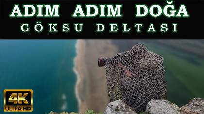 Göksu deltası