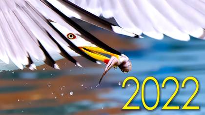 2022 Yılı Özetim