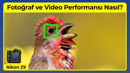 Nikon Z9 ilk izlenim