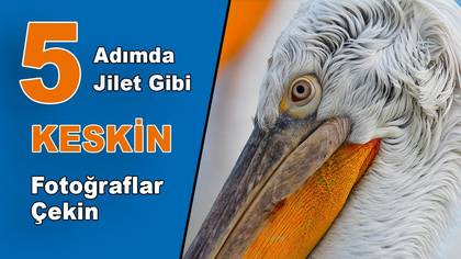Jilet Gibi Keskin