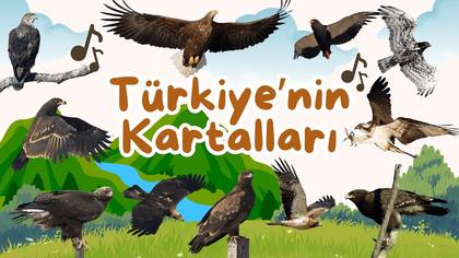 Türkiye\'nin Kartalları