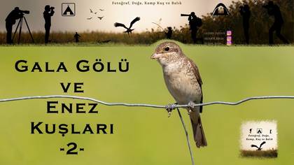 Gala Gölü ve Enez 