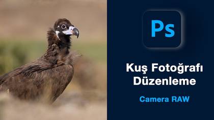 Kuş Fotoğrafı Düzenleme
