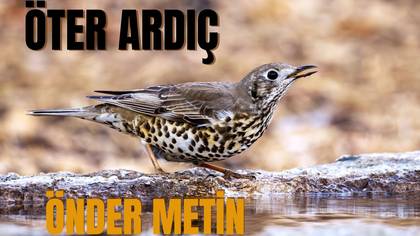 ÖTER ARDIÇ-ILGIN KONYA