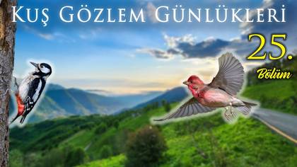 Kuş Gözlem Günlükleri - 25