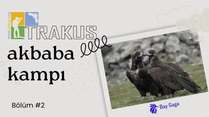 TRAKUS Akbaba Kampı 2. Gün