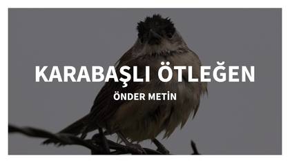 KARABAŞLI ÖTLEĞEN-ILGIN KONYA