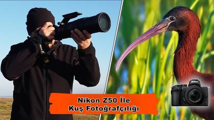 Aynasız ile Kuş