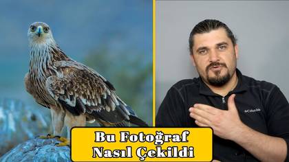 Şah Kartal Nasıl Çekildi