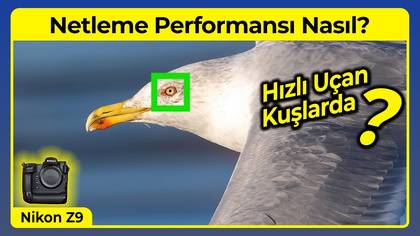Nikon Z9 Netleme Performansı
