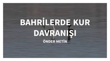 BAHRİDE KUR DAVRANIŞI