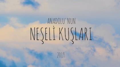 Neşeli Kuşlar