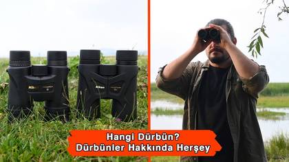 Hangi Dürbün 