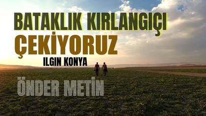 BATAKLIK KIRLANCI ÇEKİYORUZ