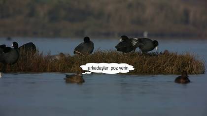 Sakarmeke