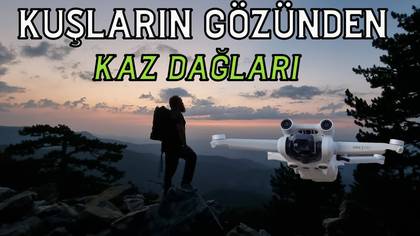 Kuşların gözünden