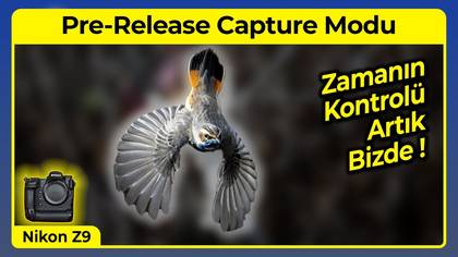 Nikon Z9 Pre-release Capture