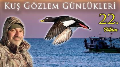Kuş Gözlem Günlükleri - 22