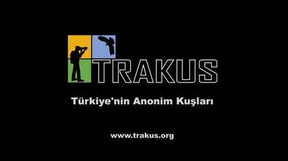 Trakuş