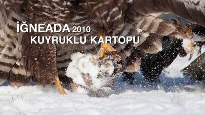 Kuruklı Kartopu