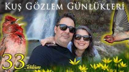 Kuş Gözlem Günlükleri - 33