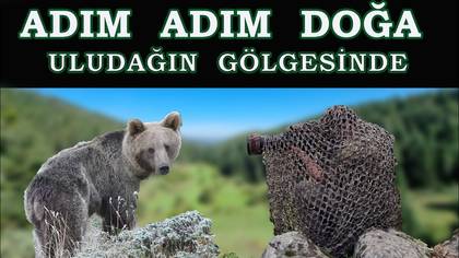 ADIM ADIM DOĞA