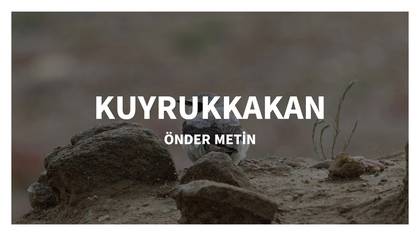 KUYRUKKAKAN