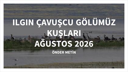 ILGIN ÇAVUŞCUGÖL KUŞLARI ÖNDER METİN
